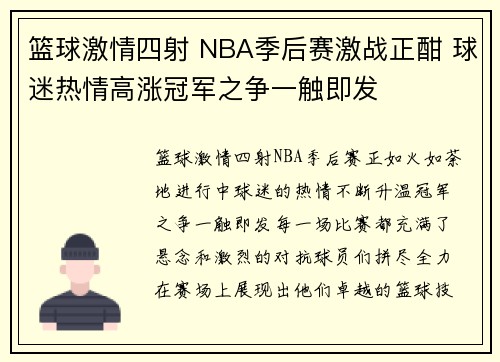 篮球激情四射 NBA季后赛激战正酣 球迷热情高涨冠军之争一触即发