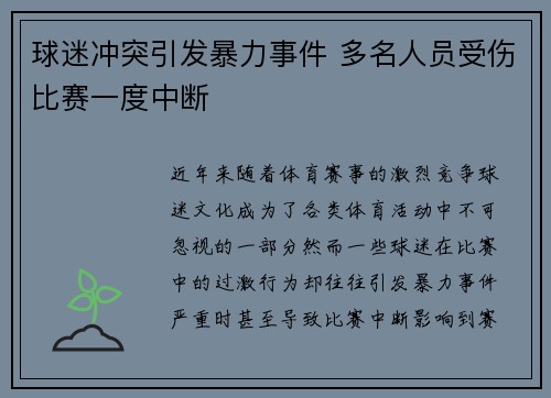 球迷冲突引发暴力事件 多名人员受伤比赛一度中断